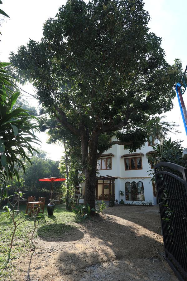 Mango Hill Inn Yangon Exterior photo
