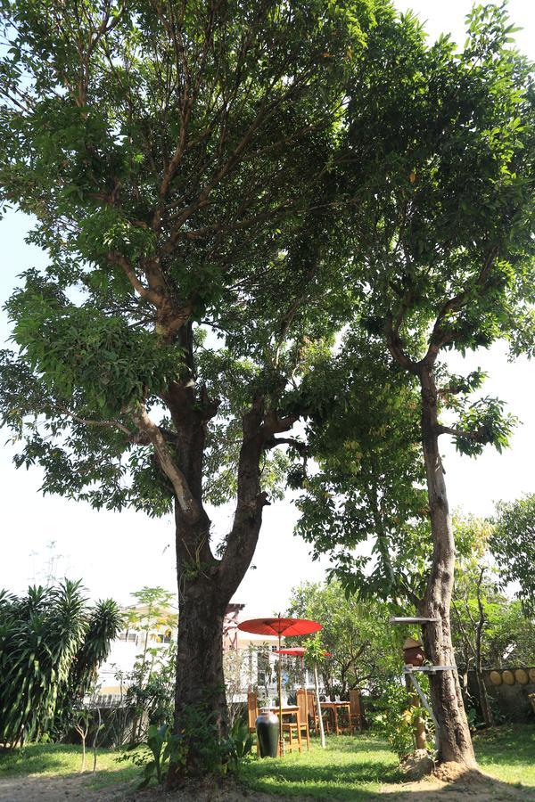 Mango Hill Inn Yangon Exterior photo